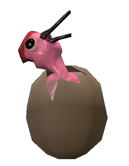 Sapsucker Eggs